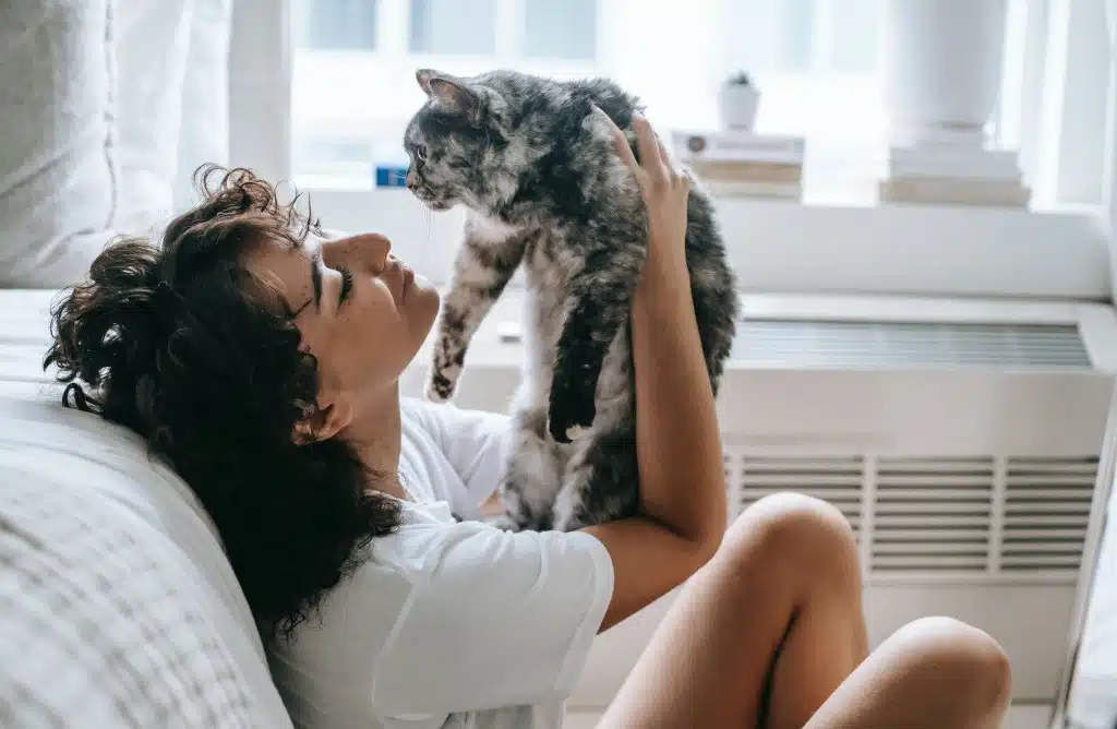 communication animale chat