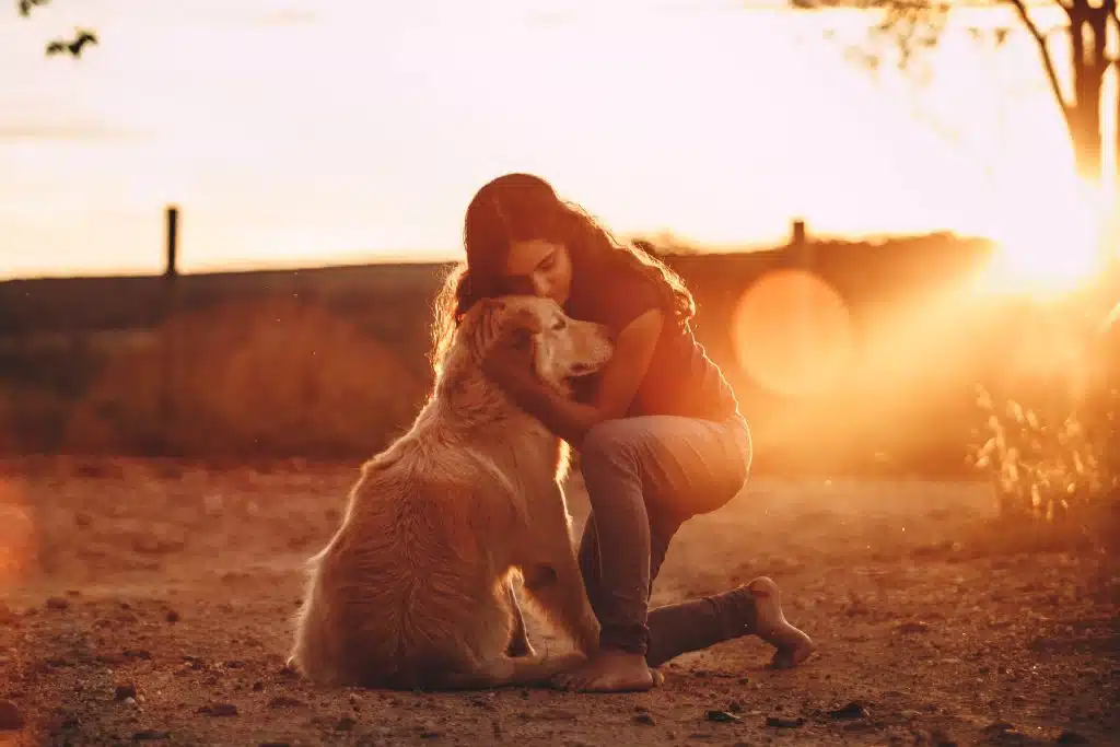 communication animale homme et chien