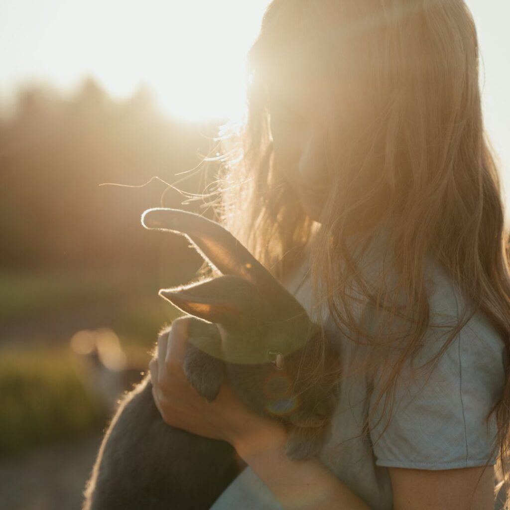 communication-animale-lapin