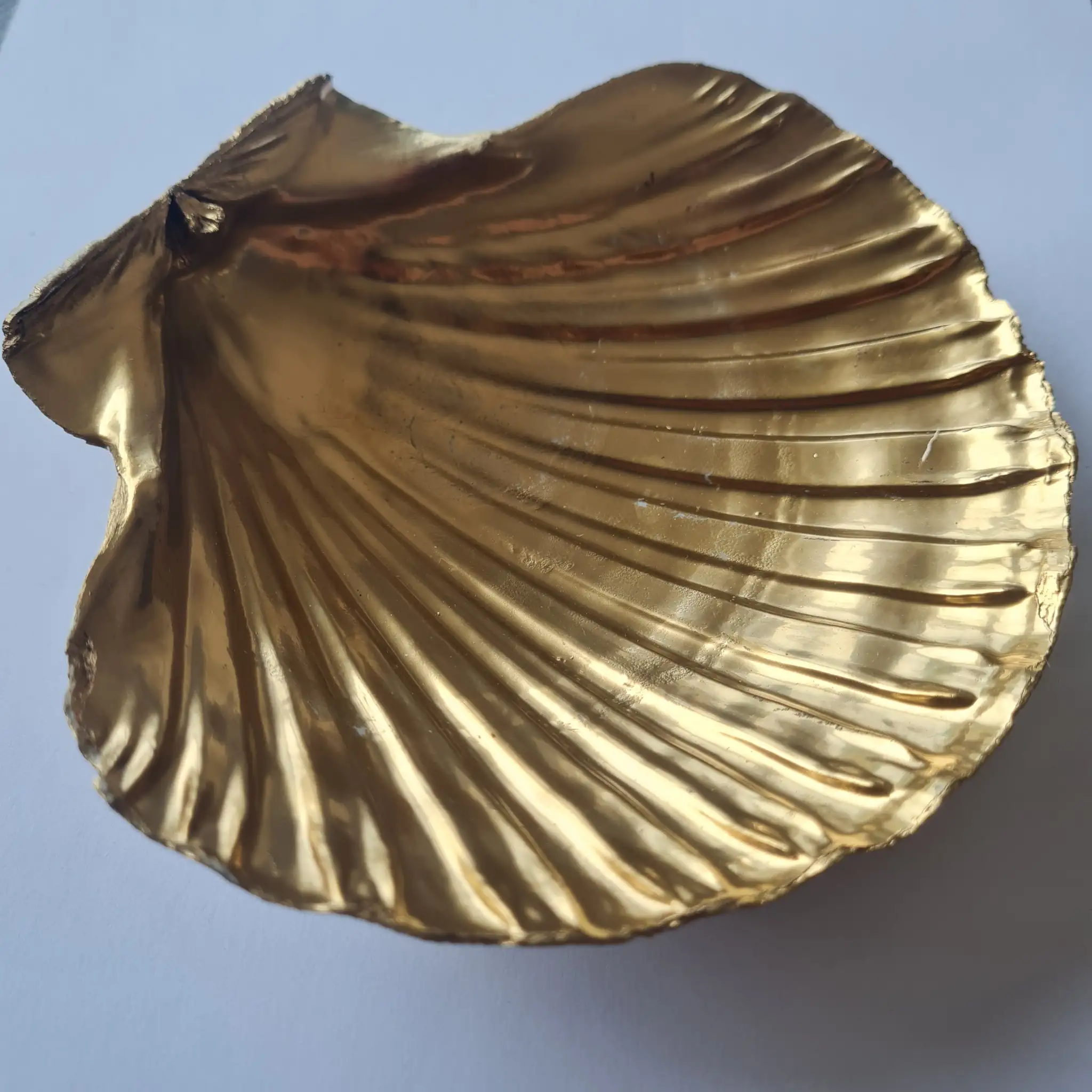 Coquille dorée vide posée sur un fond bois naturel, utilisée pour les rituels de purification, rechargement des pierres et élévation spirituelle.
